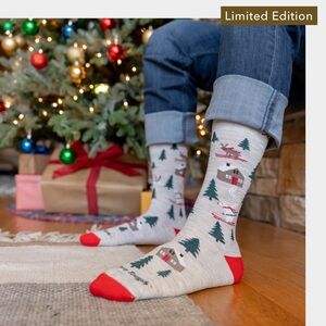 Festive Cabin Scene Women's Socks